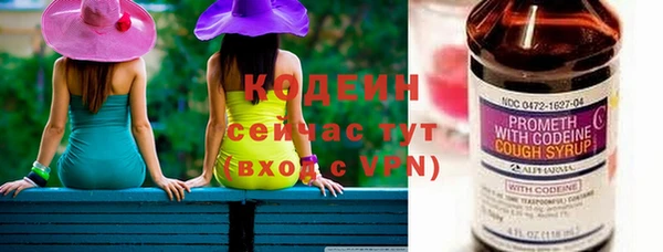 прущие грибы Арсеньев