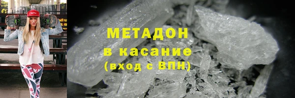 прущие грибы Арсеньев