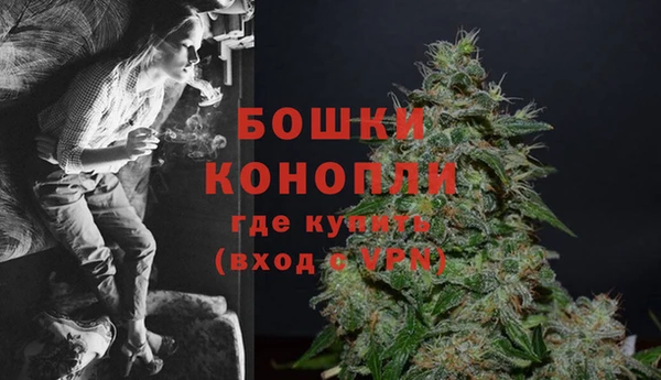 прущие грибы Арсеньев