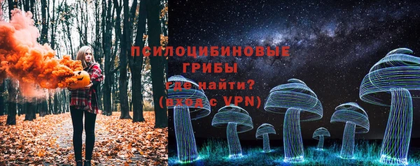 прущие грибы Арсеньев