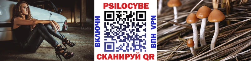 Псилоцибиновые грибы прущие грибы  Няндома 